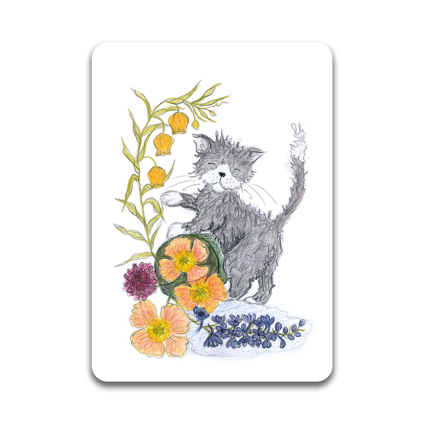 Flower cat