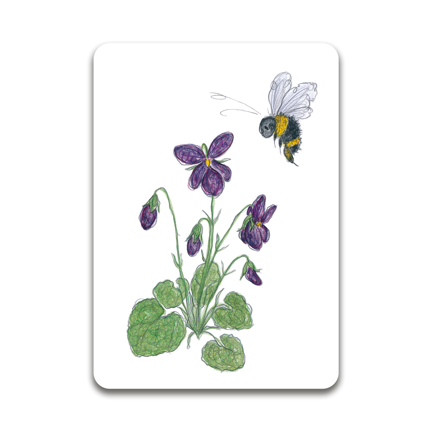 Viola and Bee