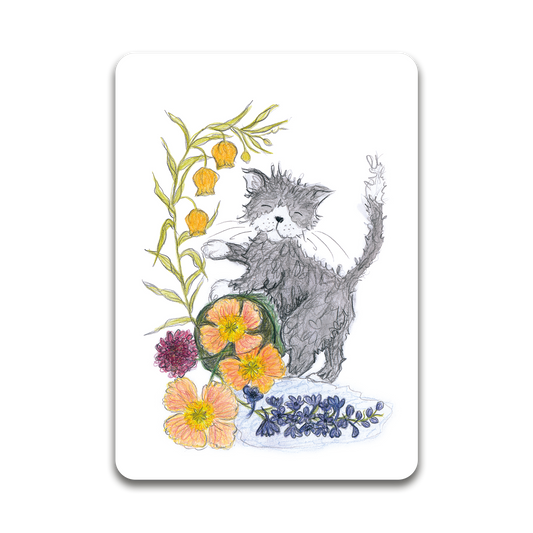 Flower cat