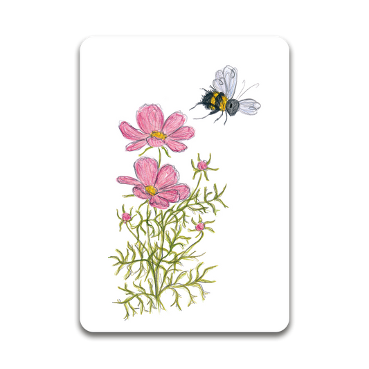 Cosmea and Bee